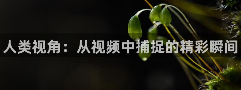 玖玖热国产精品视频：人类视角：从视频中捕捉的精彩瞬间