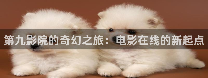99玖玖精品视频：第九影院的奇幻之旅：电影在线的新起点
